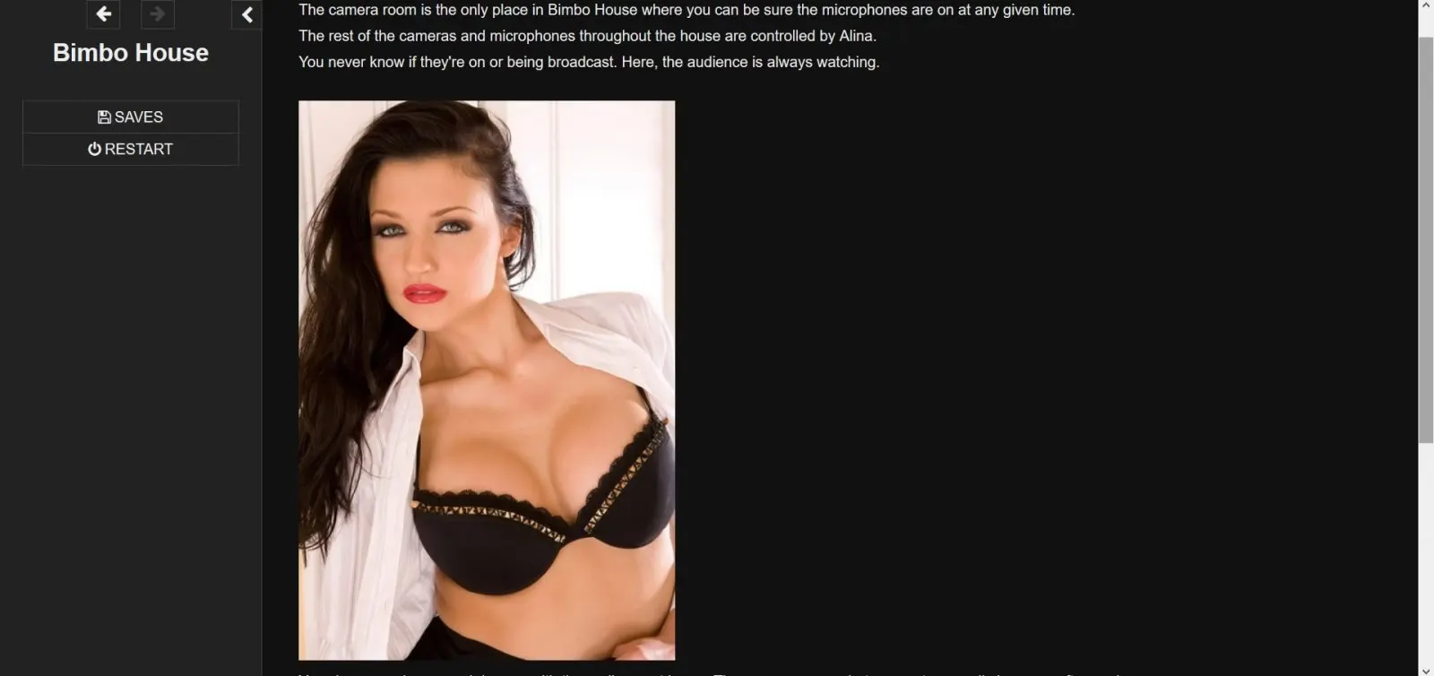Bimbo House screenshot 3