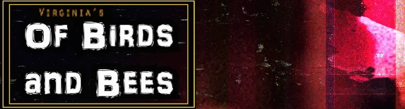 Of Birds and Bees